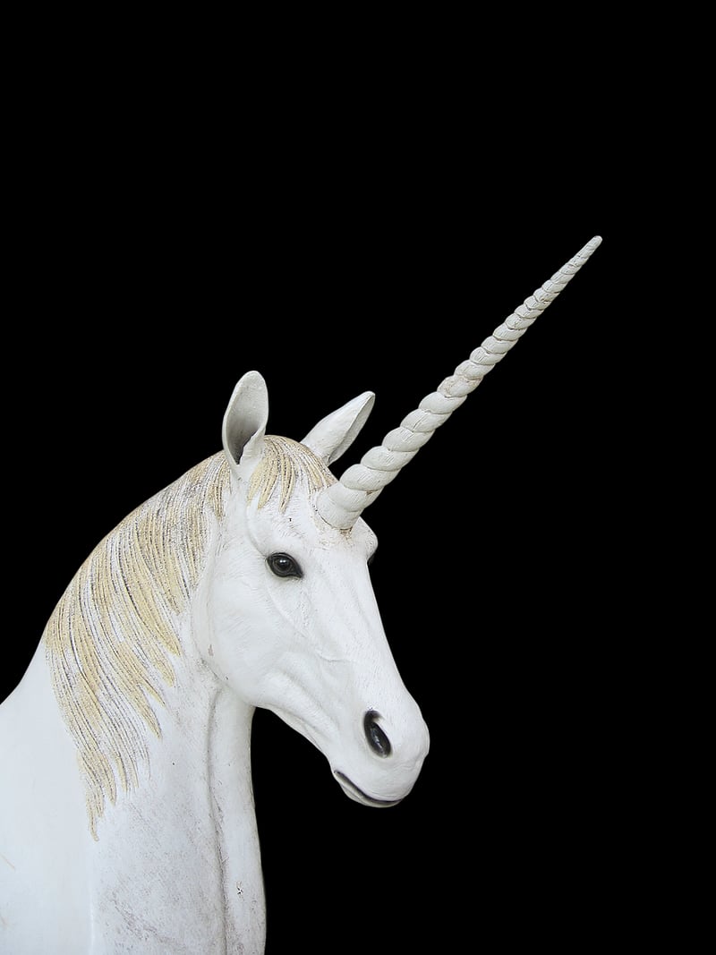 Unicorn Trinkets