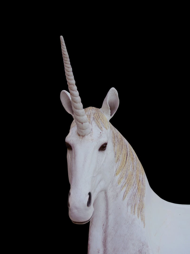 Unicorn Trinket